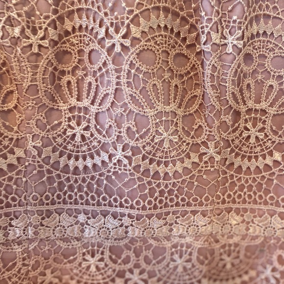 Chi chi London Blush Pink body on lace MIDI Dress - Picture 4 of 7